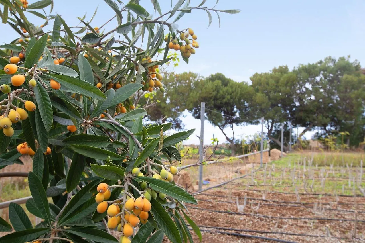 Lägenhet Casa Munay Granadilla De Abona